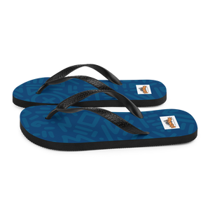 Flip-Flops